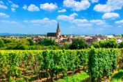 Découverte vignoble d'Alsace